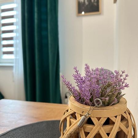 Apartament Zielony Kollataja Tomaszów Mazowiecki Dış mekan fotoğraf