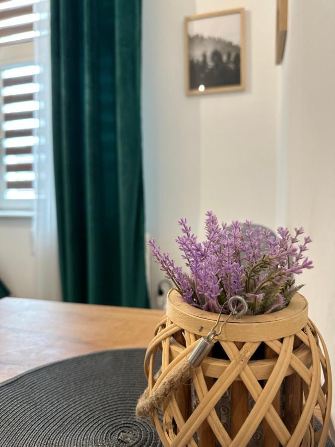Apartament Zielony Kollataja Tomaszów Mazowiecki Dış mekan fotoğraf